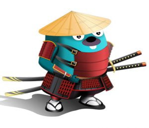 About DevSamurai - LeanBoard